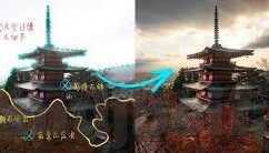 大象传媒官网是多少-探寻大象传媒的数字门户，揭秘其官网的独特魅力
