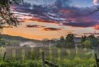 大象传媒免费-免费大象传媒，数字时代的文化桥梁与信息交流新平台