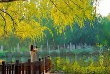 果冻传媒免费在线视频-探索果冻传媒免费在线视频的魅力与影响