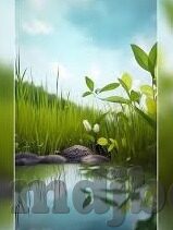 果冻传媒在线视频-探索果冻传媒在线视频，数字时代的娱乐新风尚