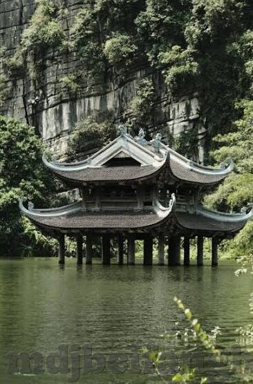 老虎与大象搏斗的视频-老虎与大象，自然界的奇观对决