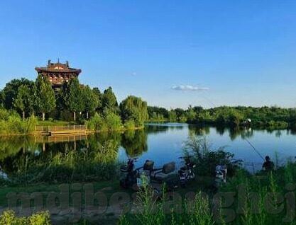 麻豆免费视频网站入口在线-打开麻豆免费视频新世界的神秘入口
