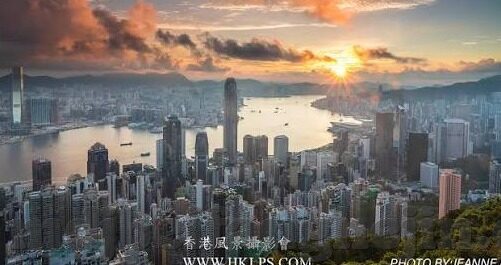 麻豆视传媒污免费-麻豆视界，探索传媒行业的多元风景