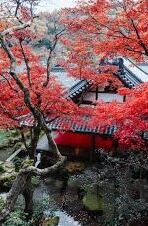 欧美一区,二区,三区-欧美一区、二区、三区的文化与艺术交融