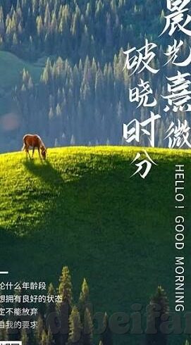 日韩av黄色片-日韩影视文化中的成人内容探讨，界限与影响