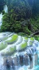 糖心app官方版下载-体验升级，探索未至——糖心APP官方版下载的全新旅程