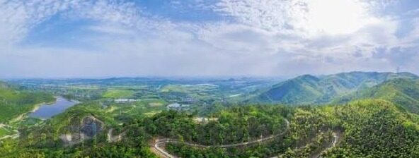 糖心app免费版直播-体验沉浸式娱乐新境界——解锁糖心APP免费版直播的无限精彩