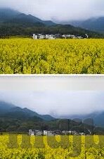糖心官网入口txvlog-解锁糖心文化新视界，TXVlog的探索之旅