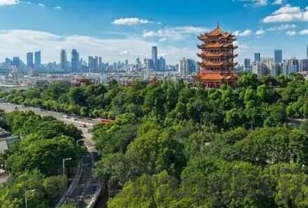 糖心直播间app下载ios-阅读快乐，糖心直播间APP的精彩体验与应用